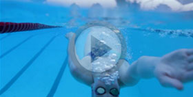 dolphin_thumb